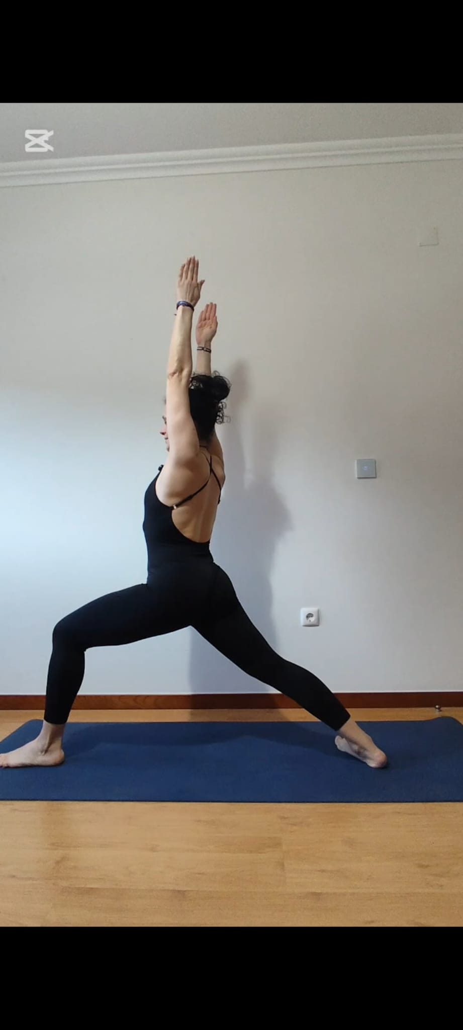 Yoga Sistêmico